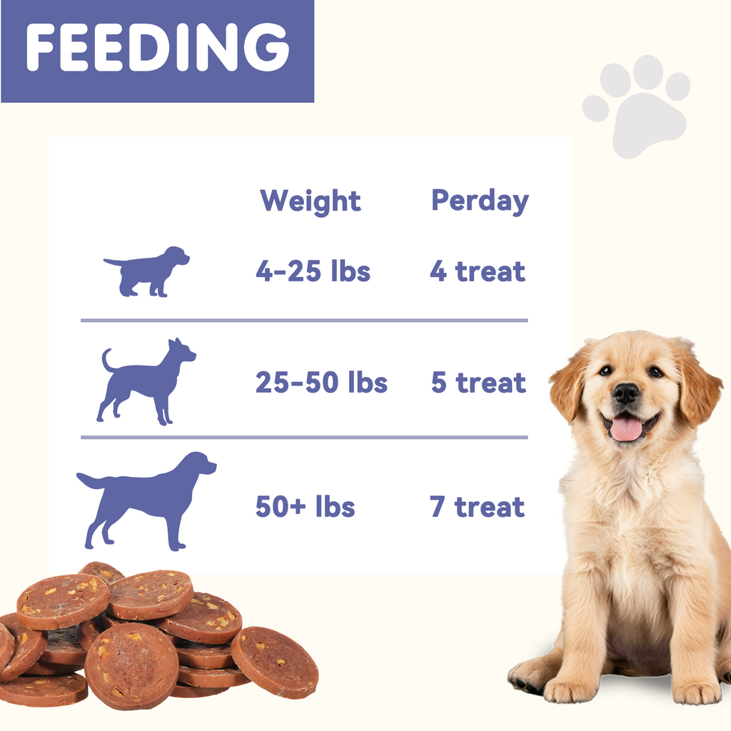 PAWUP Duck Sausage with Apple Dog Treats, Human Grade Dog Food for Small Medium Large Dogs, Training Treats for Dogs, 10.6oz - Pawup