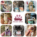 PAWUP Freeze Dried Duck Treats for Cats Dogs, Rawhide Free Freeze-Dried Raw Food Topper, High Protein, Gluten&Grain Free, 2.1oz - Pawup