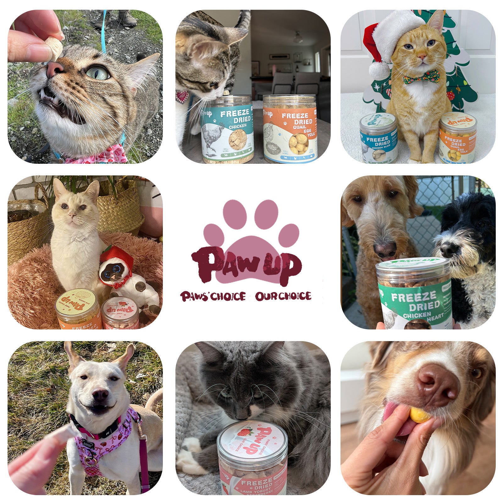 PAWUP Freeze Dried Duck Treats for Cats Dogs, Rawhide Free Freeze-Dried Raw Food Topper, High Protein, Gluten&Grain Free, 2.1oz - Pawup