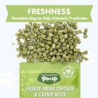 PAWUP Freeze Dried Cat Treats, Real Chicken with Cat Grass, High Protein Crunchy Snack for Kittens Adult Senior Cats, 3.6 oz Bag