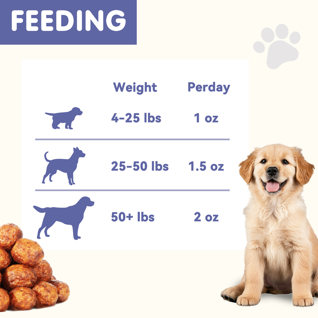 PAWUP Duck Natural Dog Treats, Popcorn-Inspired Crunchy Bites, Healthy Reward or Training Treat for Picky Eaters, Small Medium Large Dog, 2.5oz