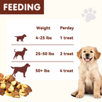 Chicken Wrapped Calcium Bone, Rawhide Free Dog Chews, Training Treats for Dogs, 10.4oz - Pawup