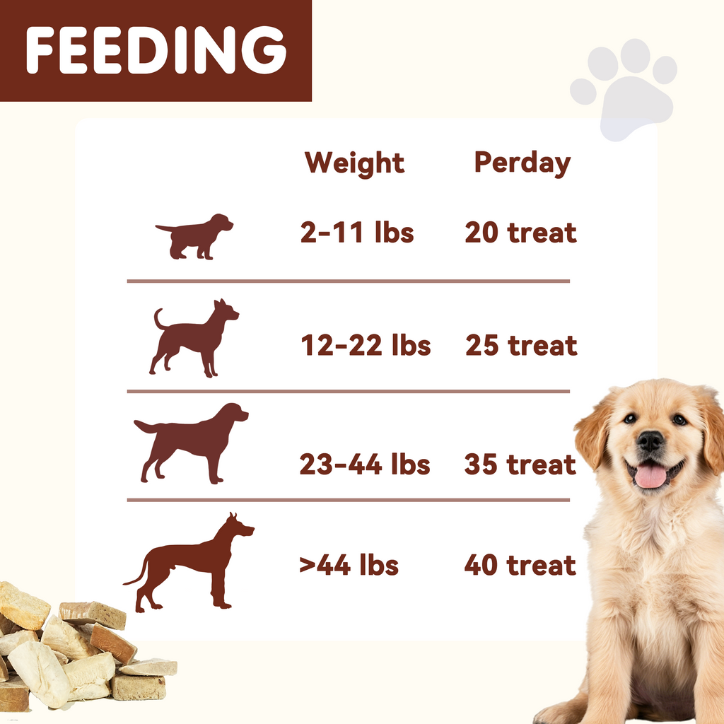 PAWUP Freeze Dried Dog Treats, Chicken, Duck, Beef, Beef Liver & Salmon, Single-Ingredient Variety Snack Pack for Small, Medium & Large Dogs, 2.5 oz Bag - Pawup