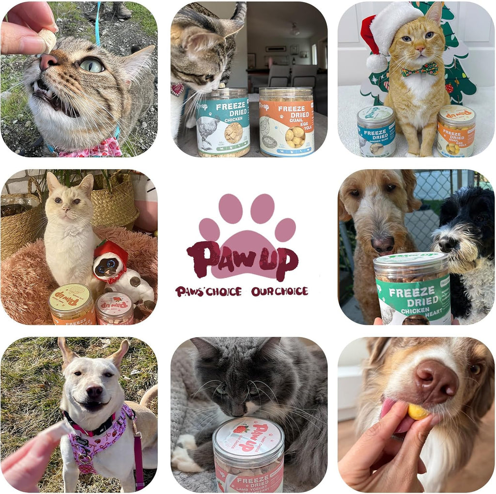PAWUP Freeze Dried Cat Treats, Duck Breast, Single Ingredient, 4.6oz | Cat Food Toppers, High Protein, Low Fat, Natural, Healthy, Rawhide Free, Gluten&Grain Free - Pawup