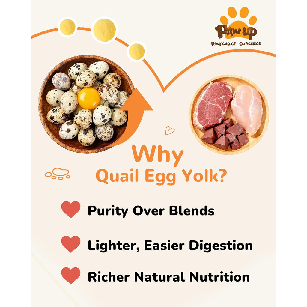 Freeze-Dried Quail Egg Yolk Treats for Dogs & Cats, Single-Ingredient Snacks - Pawup