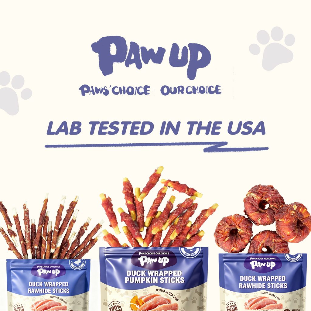 Duck Wrapped Pumpkin Dog Treats, Rawhide-Free Chews for Dogs, 10.6 oz - Pawup