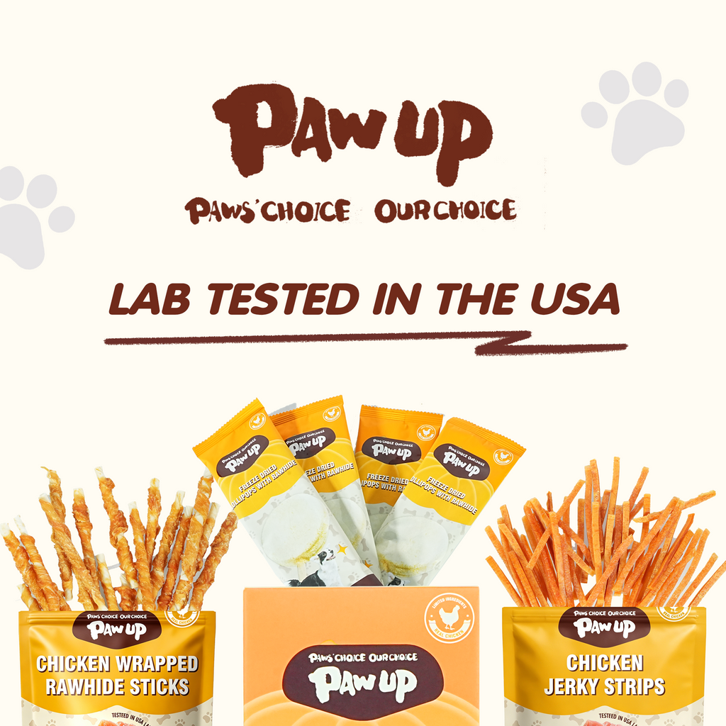 PAWUP Dog Treat Freeze-Dried Chicken & Pumpkin Lollipops with Rawhide, Dental Chew & High Protein Training Treats for Small, Medium & Large Dogs, 1.5 oz 5 Counts - Pawup