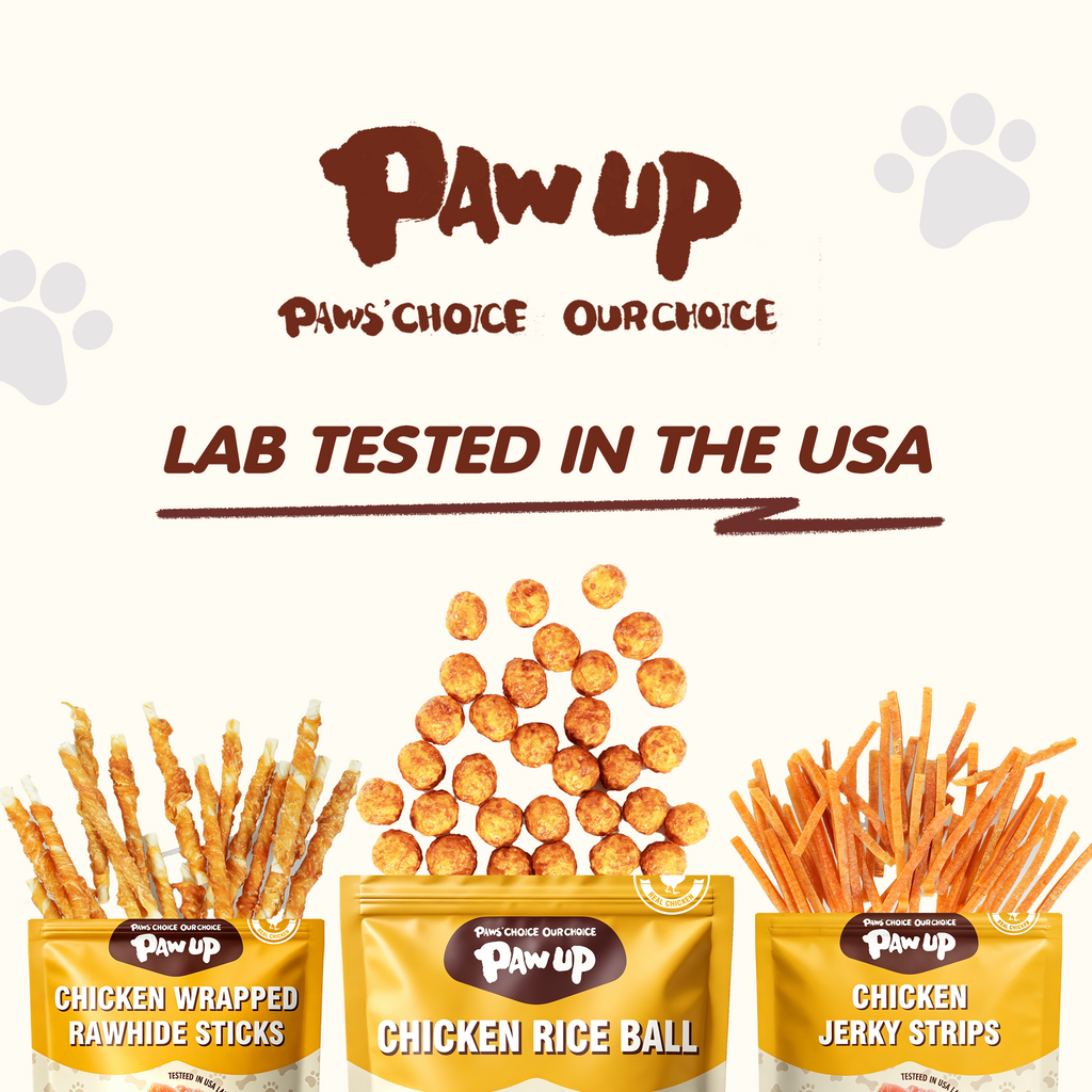 PAWUP Chicken Natural Dog Treats, Popcorn-Inspired Crunchy Bites, Healthy Reward or Training Treat for Small, Medium and Large Dog, 2.5oz