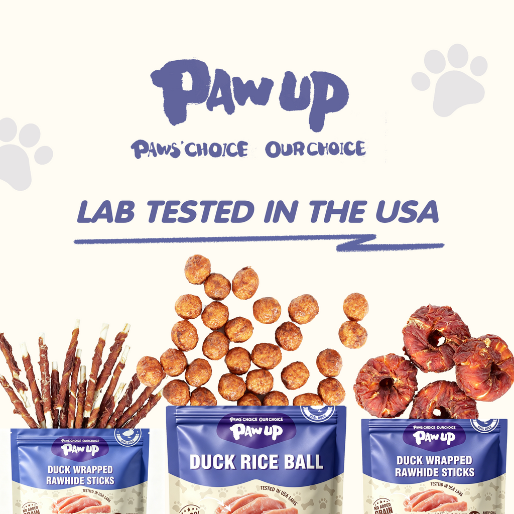 PAWUP Duck Natural Dog Treats, Popcorn-Inspired Crunchy Bites, Healthy Reward or Training Treat for Picky Eaters, Small Medium Large Dog, 2.5oz
