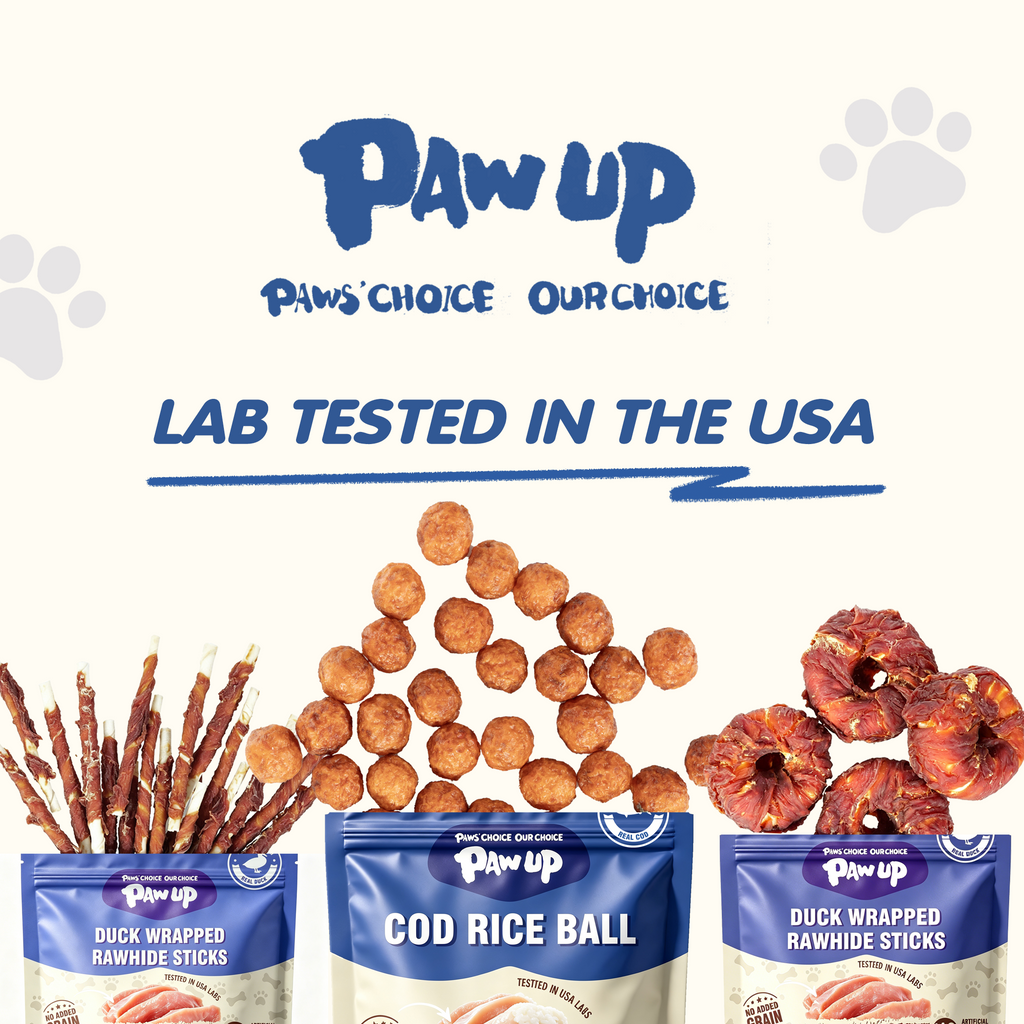 PAWUP Cod Natural Dog Treats, Popcorn-Inspired Crunchy Bites, Healthy Reward or Training Treat for Skin & Coat Health, Small Medium Large Dog, 2.5oz