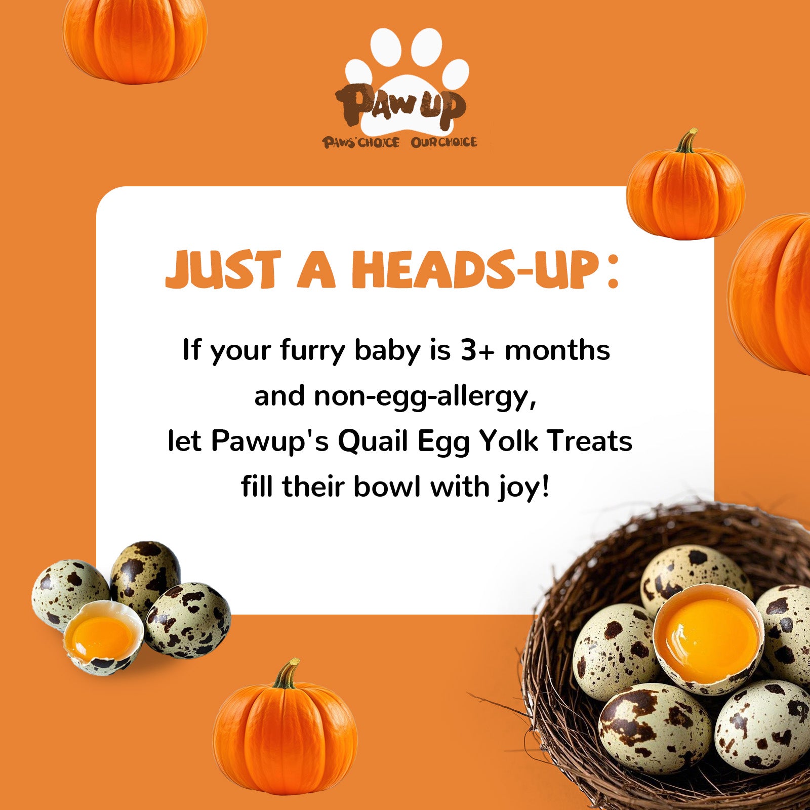 Freeze Dried Quail Egg Yolk Treats for Cats & Dogs, Coat & Urinary Health, 3.5 oz - Pawup