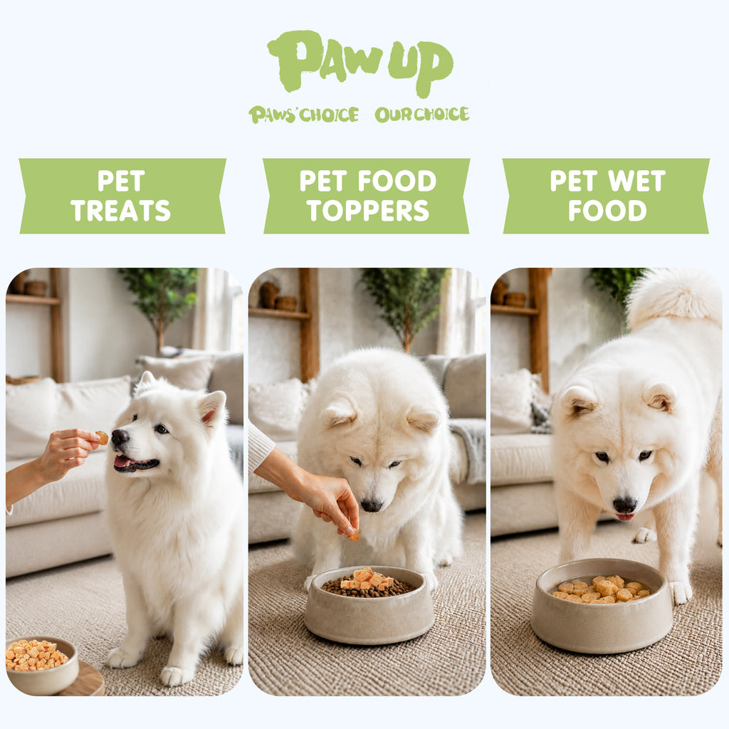 PAWUP Freeze Dried Dog Treats, Real Chicken with Pumpkin & Broccoli, High Protein Crunchy Training Snack for Small Medium Large Dogs, 3.6 oz Bag