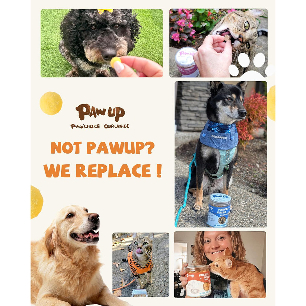 Freeze-Dried Quail Egg Yolk Treats for Dogs & Cats, Single-Ingredient Snacks - Pawup