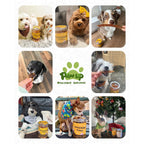 PAWUP Dog Treats, Chicken Jerky Strips, 12.5 oz | Low Fat & High Protein, Easy-to-Tear, Natural Training Treats for Small & Medium Dogs - Pawup