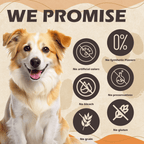 Chicken Rawhide Bone Dog Treats, Long-Lasting Dental Chews for Dogs, 9 oz - Pawup