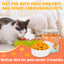 Freeze-Dried Pumpkin Treats for Dogs & Cats, High-Fiber Single-Ingredient Snacks, 1.58 oz - Pawup