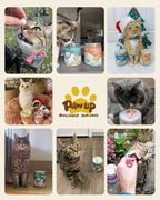 PAWUP Freeze Dried Chicken Cat Treats, High-Protein Cat Snacks, 50 Pack