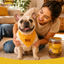 PAWUP Soft Dog Treats, Chicken & Shrimp Jerky Shavings, Easy to Chew Dog Food Topper & Meal Mixer for Small & Senior Dogs, Grain Free, Taurine Added, 6.6 oz - Pawup