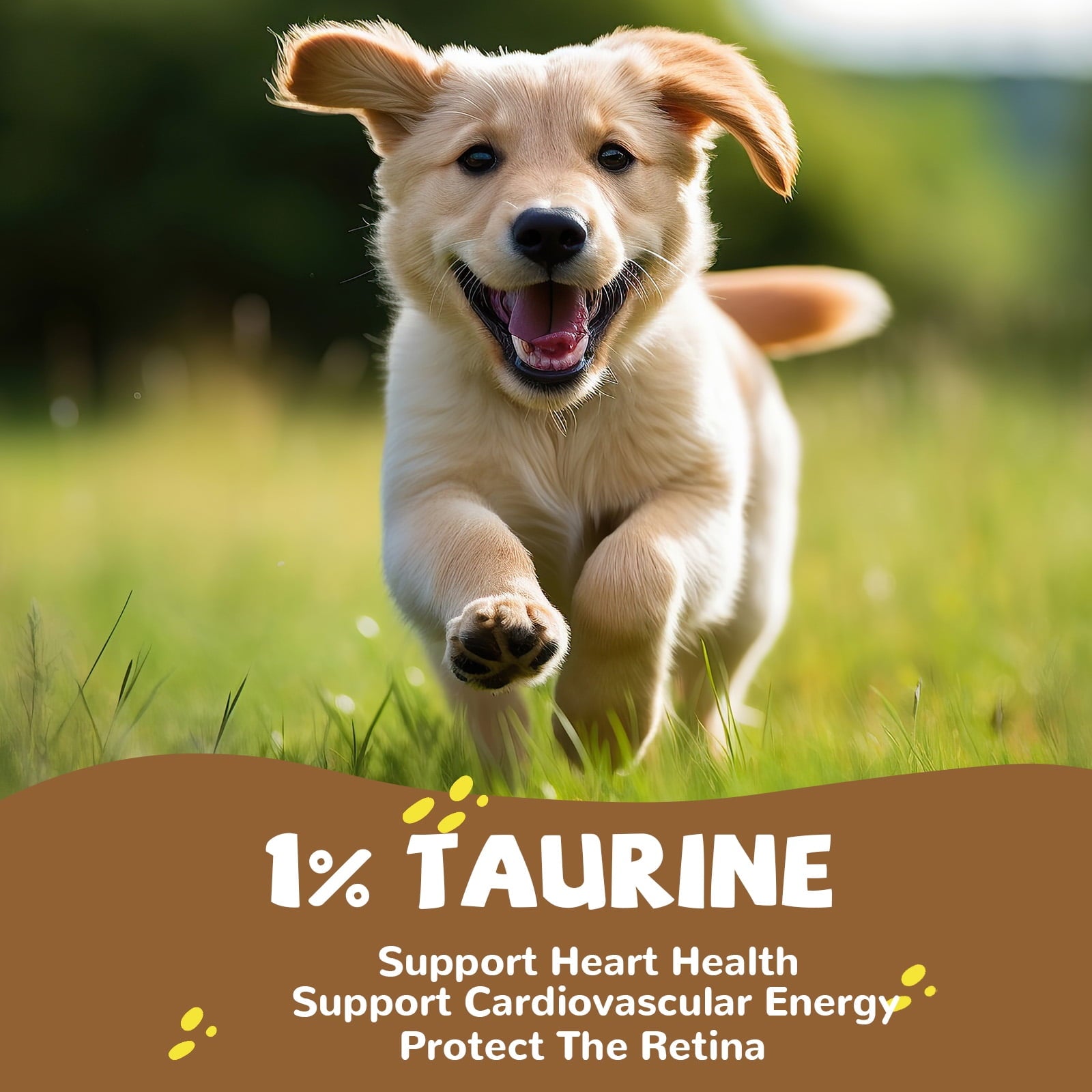 Chicken Jerky Dog Treats, Grain-Free Rawhide-Free Snacks for Dogs, 10.4 oz - Pawup