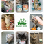 Freeze Dried Chicken Cat Treats, Cat Grass Added,Hairball Care & Digestive Support, 3.8oz - Pawup