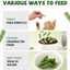Freeze Dried Chicken Cat Treats, Cat Grass Added,Hairball Care & Digestive Support, 3.8oz - Pawup