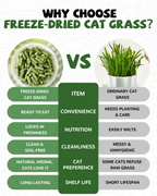 Freeze Dried Chicken Cat Treats, Cat Grass Added,Hairball Care & Digestive Support, 3.8oz - Pawup