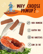 Smoked Salmon Fillet Jerky with Omega 3–6  for Dogs,12.5 oz - Pawup