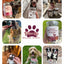 Duck & Potato  with Taurine for Dogs, Gentle on Sensitive Stomachs, 12.5 oz - Pawup