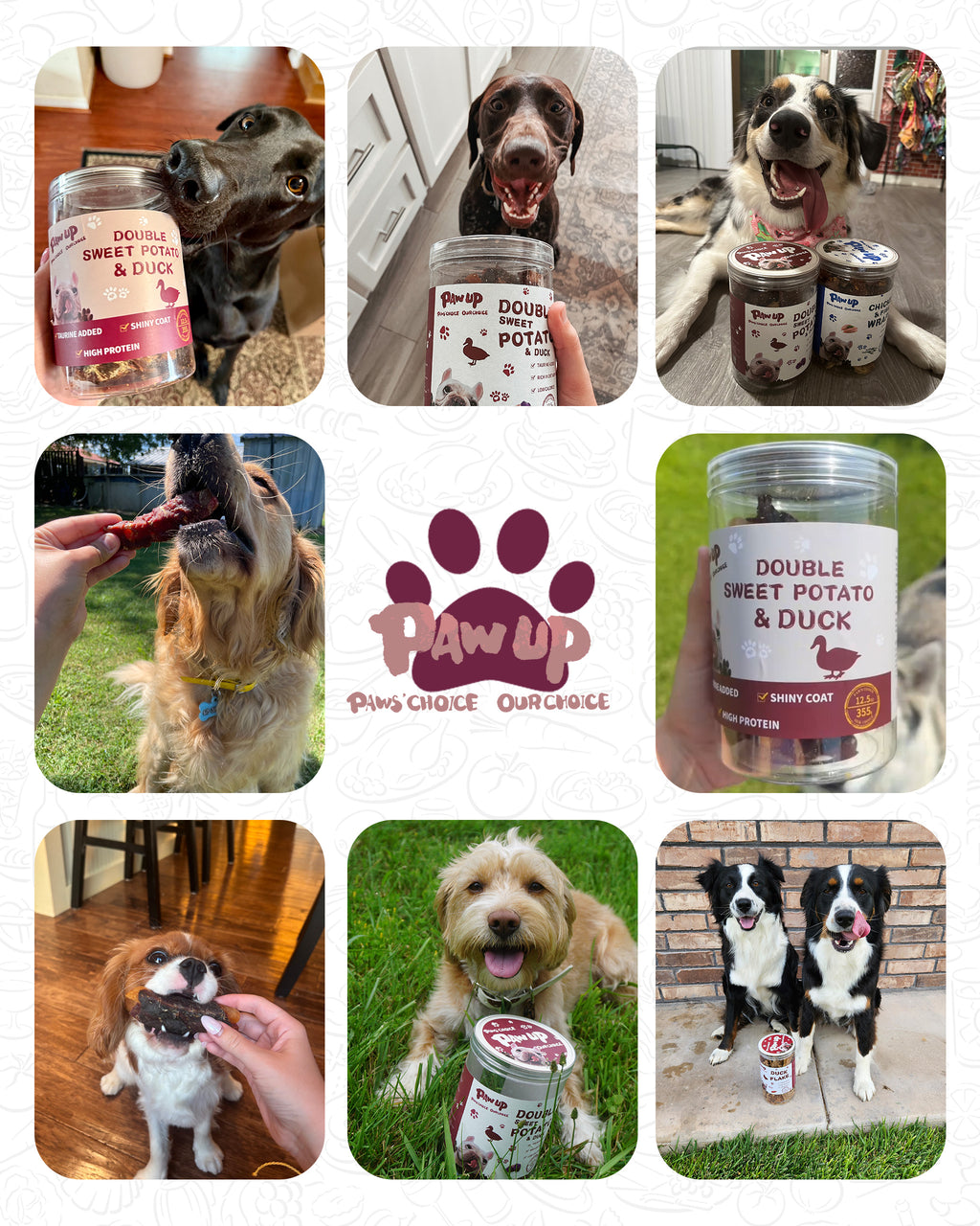 Duck & Potato  with Taurine for Dogs, Gentle on Sensitive Stomachs, 12.5 oz - Pawup