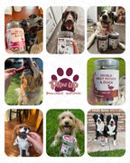 Duck & Potato  with Taurine for Dogs, Gentle on Sensitive Stomachs, 12.5 oz - Pawup