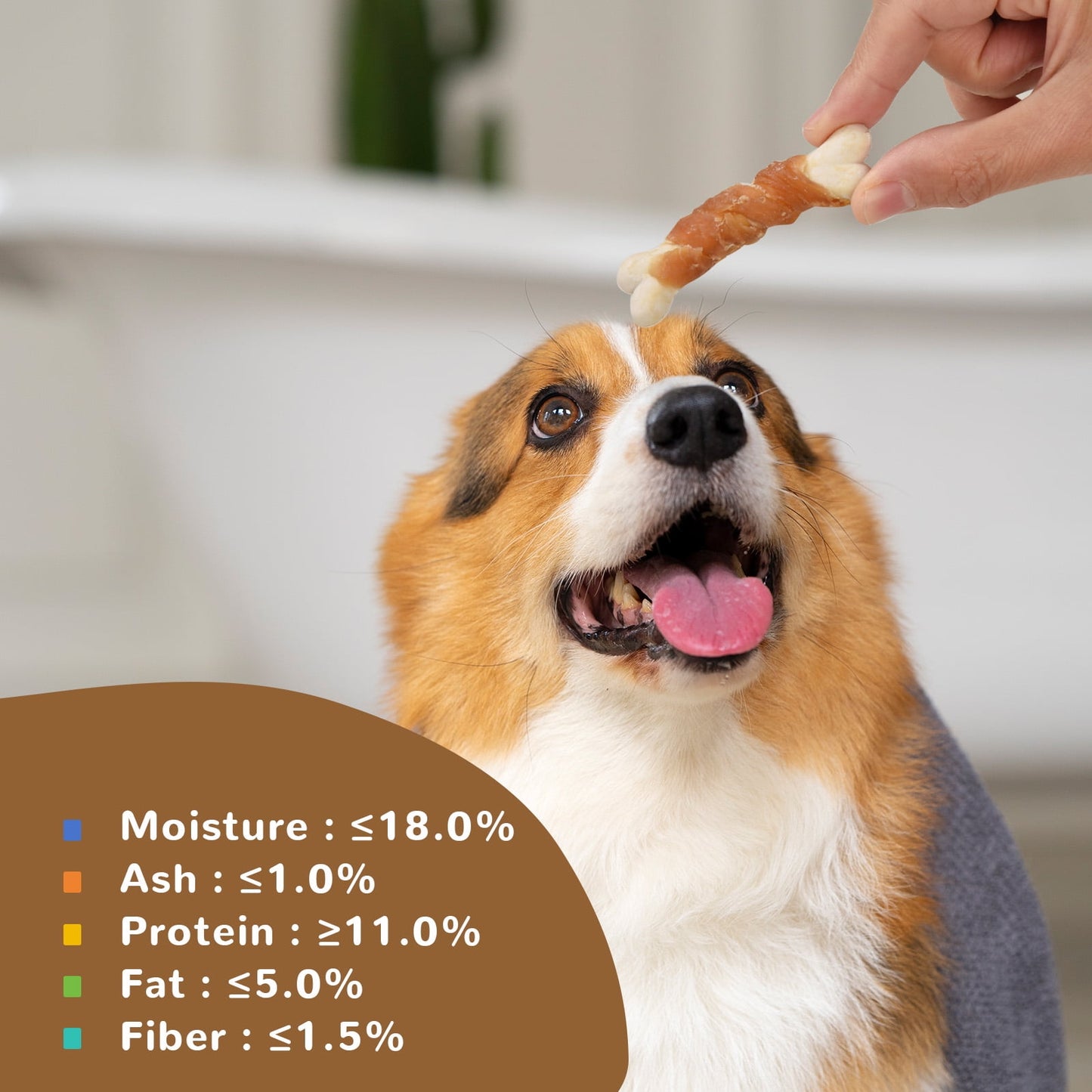 Chicken Wrapped Calcium Bone, Rawhide Free Dog Chews, Training Treats for Dogs, 10.4oz - Pawup