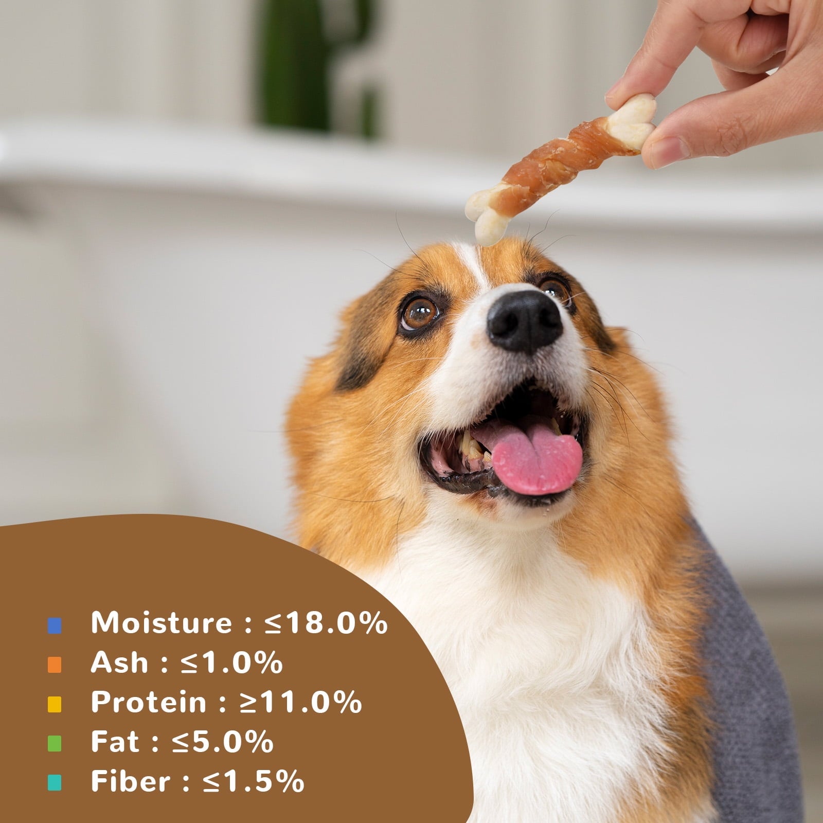 Chicken Wrapped Calcium Bone, Rawhide Free Dog Chews, Training Treats for Dogs, 10.4oz - Pawup