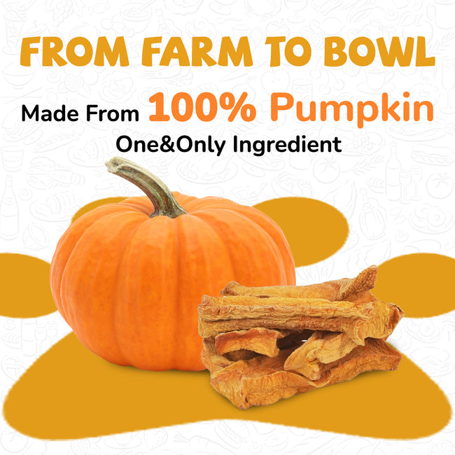 Pumpkin Slices, Low Fat Snacks for Sensitive Stomachs, 5.29 oz Main Image