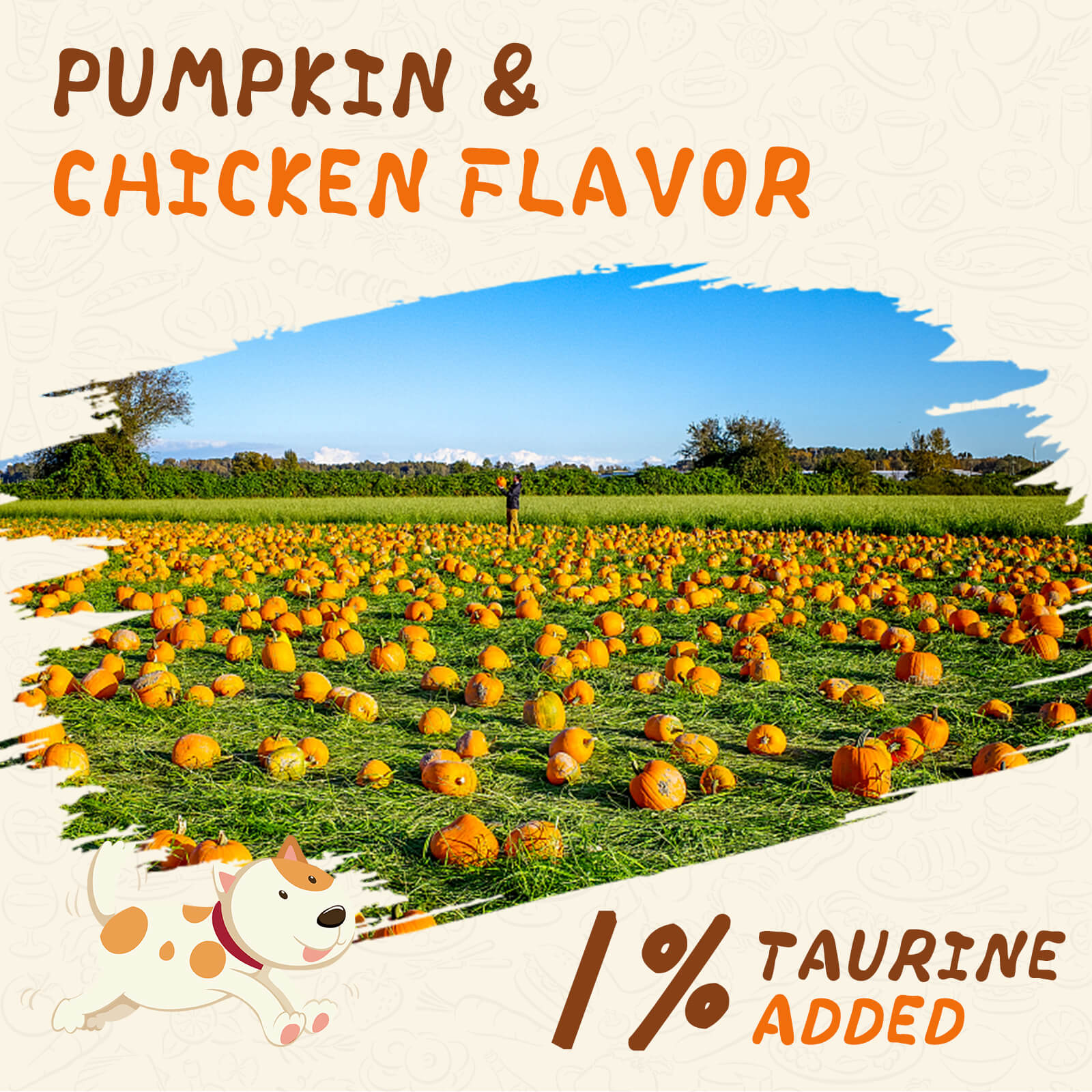 Dog Treats Chicken Wrapped Pumpkin Biscuits, 12.5 oz - Pawup