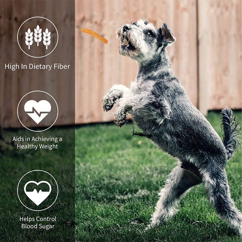 Sweet Potato Strips Dog Treat Soft,Vegan Chew, 12.5 oz - Pawup