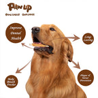 Chicken Wrapped Rawhide Sticks Dog Treats, 12.5 oz - Pawup