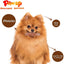 Chicken Jerky Flake Dog Treats, Grain Free, 12.5 oz - Pawup