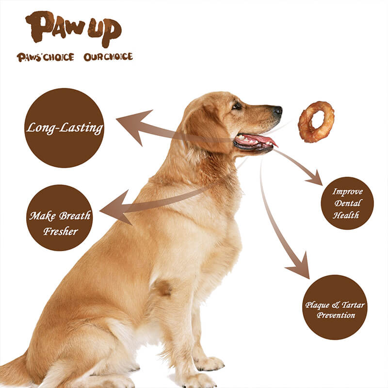 Long Lasting Chicken Wrapped Rawhide Donut, 12.5 oz - Pawup