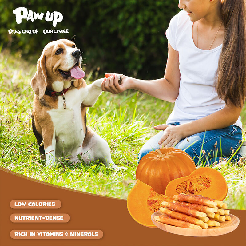 Chicken Wrapped Biscuits Pumpkin Sticks, 12.5 oz - Pawup