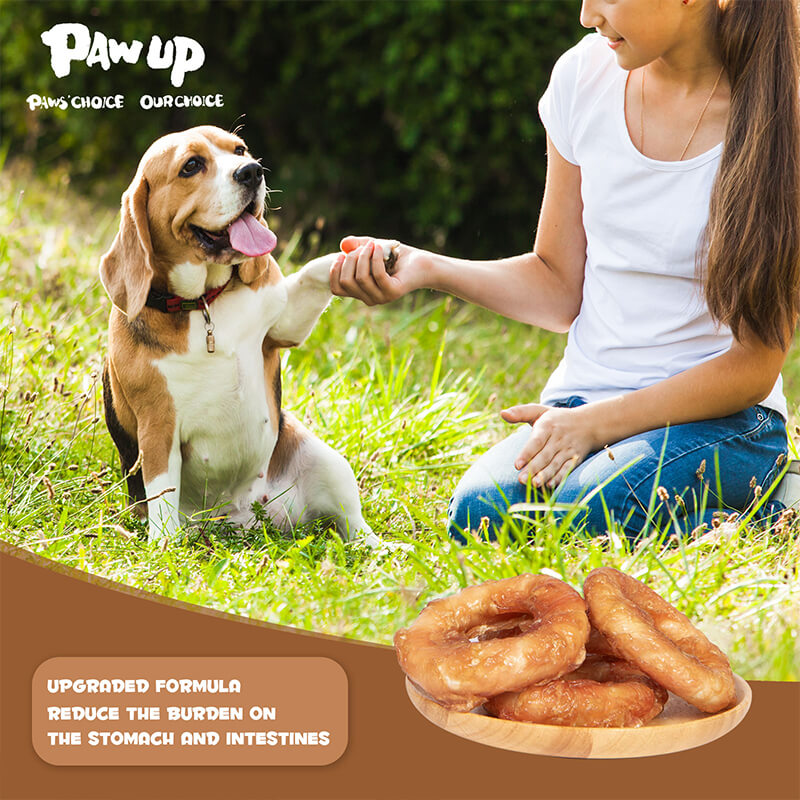Long Lasting Chicken Wrapped Rawhide Donut, 12.5 oz - Pawup