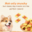 Dog Treats Chicken Wrapped Pumpkin Biscuits, 12.5 oz - Pawup